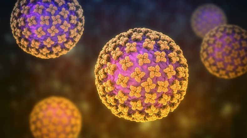 Polymarket event artwork: Hantavirus pandemic in 2026?