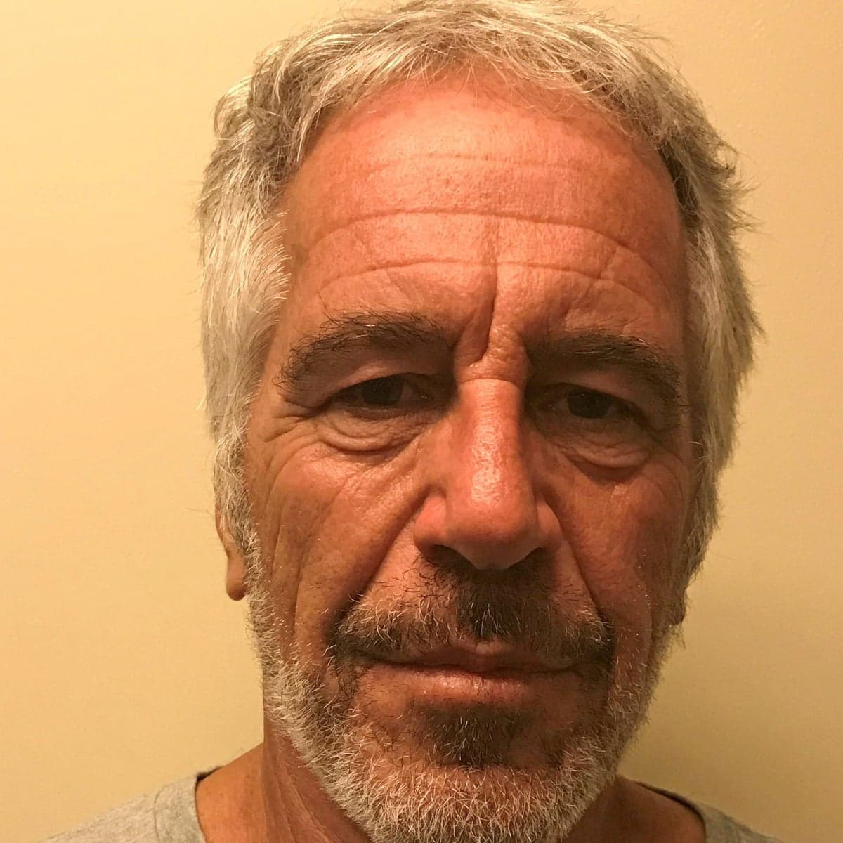 Polymarket event artwork: Jeffrey Epstein foul play confirmed by...?