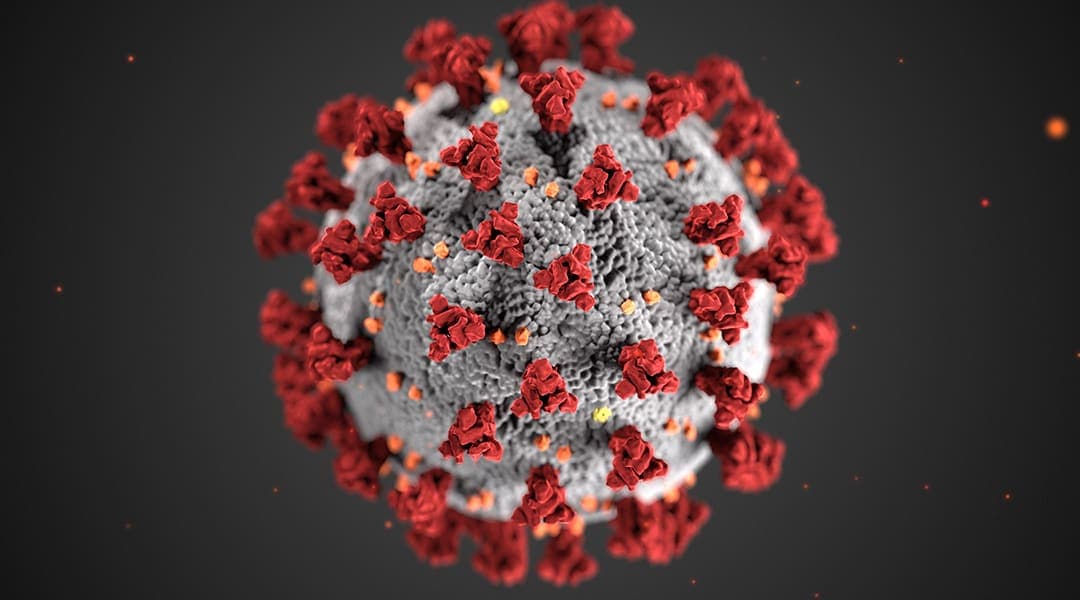 Polymarket event artwork: New pandemic in 2026?