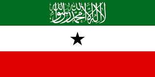 Polymarket event artwork: Somaliland Parliamentary Election Winner